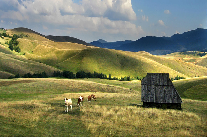 Zlatibor